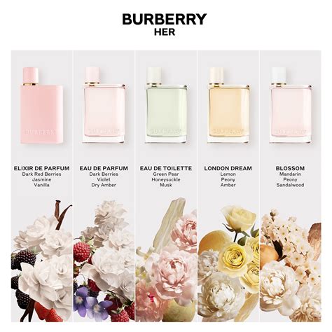 burberry for women notas|Burberry her fragrantica.